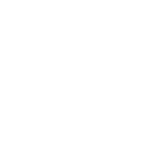 Nopi Holidays Logo White